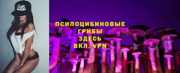 spice Верхний Тагил