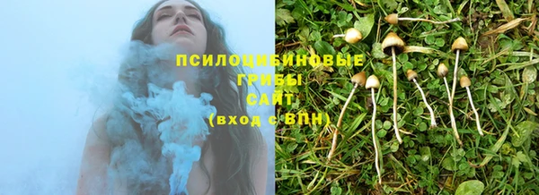 ешки Верея