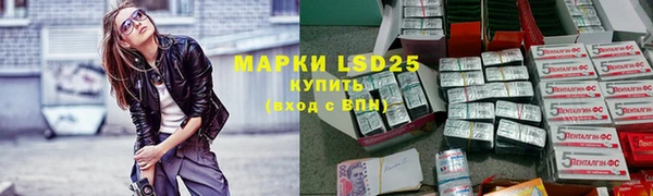 spice Верхний Тагил