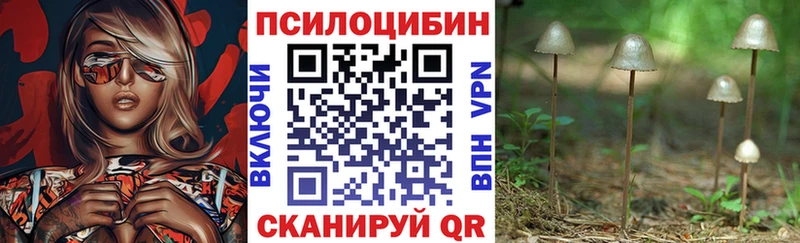 Псилоцибиновые грибы Cubensis  Купить где  Боготол 